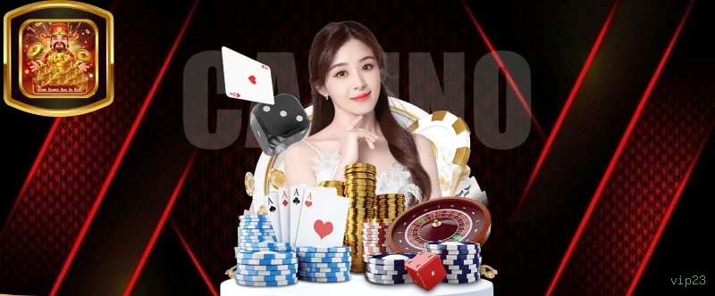 Cassino ao Vivo vip23